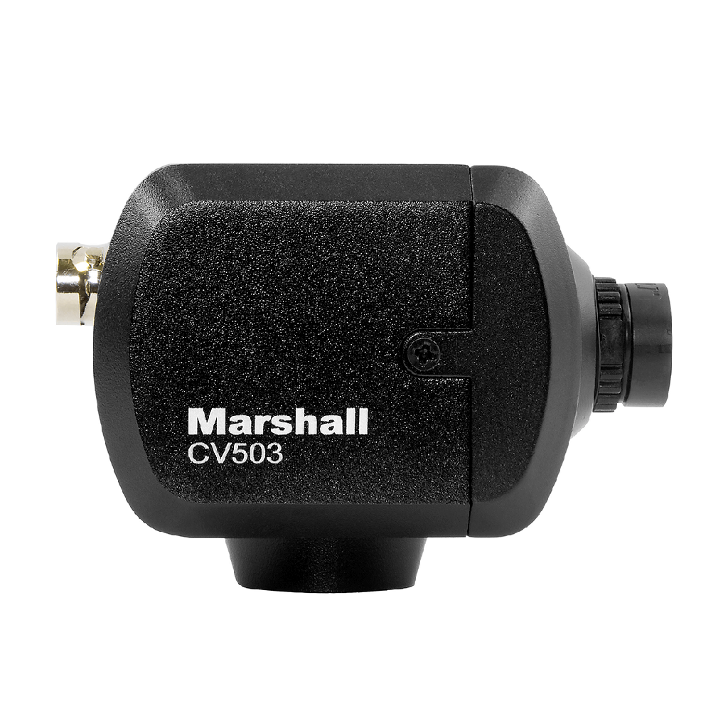 MARSHALL CV503 / Mini cámara POV HD