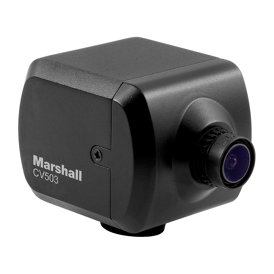 MARSHALL CV503 / Mini cámara POV HD
